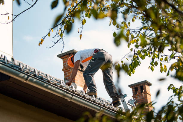 Best Metal Roofing Contractor  in Herndon, VA